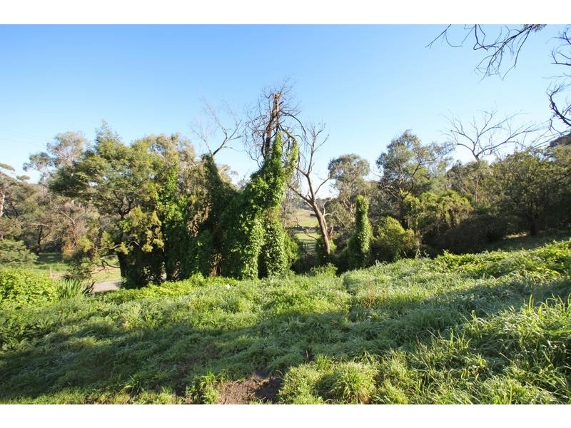 42 Illawara Avenue, Rowville VIC 3178