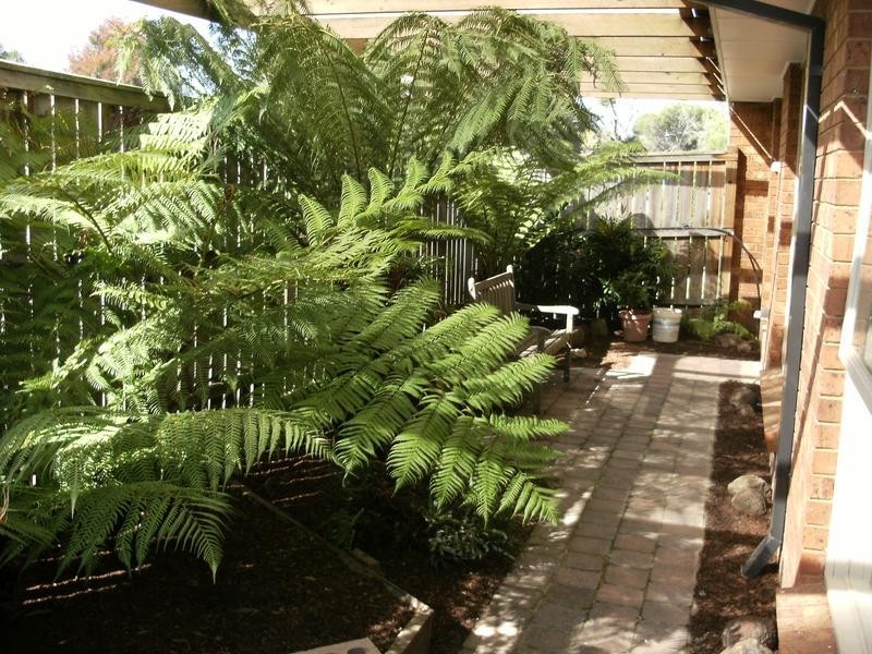 19 Jamieson Avenue, Rowville VIC 3178