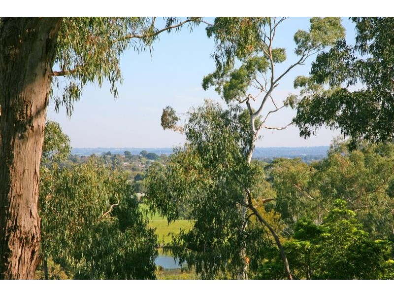 77 Ferndale Road, Upper Ferntree Gully VIC 3156
