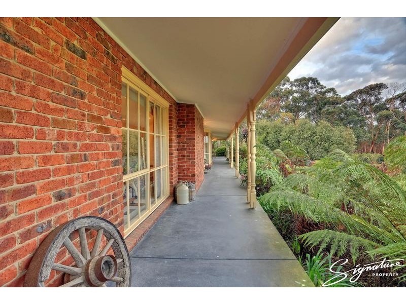 3 Bellbird Place (3/330 Hallam North Road), Lysterfield South VIC 3156
