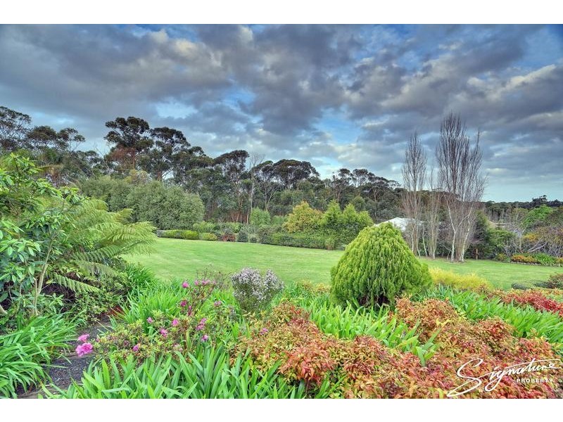 3 Bellbird Place (3/330 Hallam North Road), Lysterfield South VIC 3156