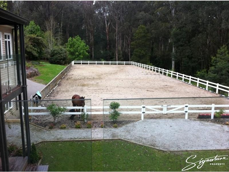 183 Emerald-Monbulk Road, The Patch VIC 3792