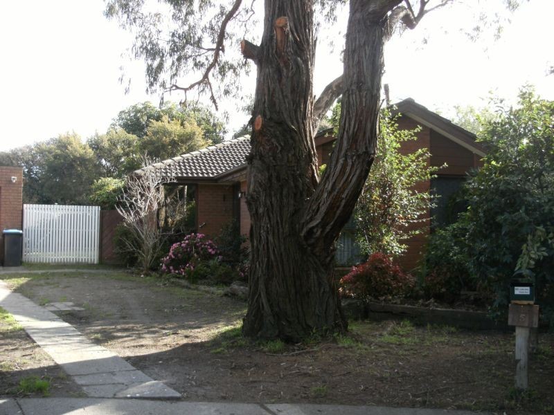 5 Belar Court, Ferntree Gully VIC 3156