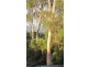 270 Hallam North Road, Lysterfield South VIC 3156