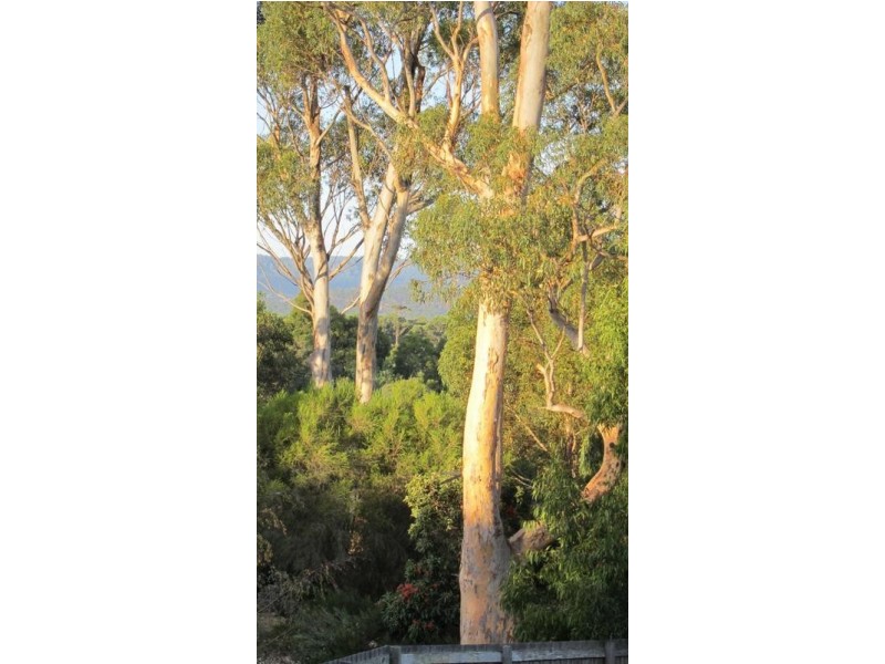 270 Hallam North Road, Lysterfield South VIC 3156