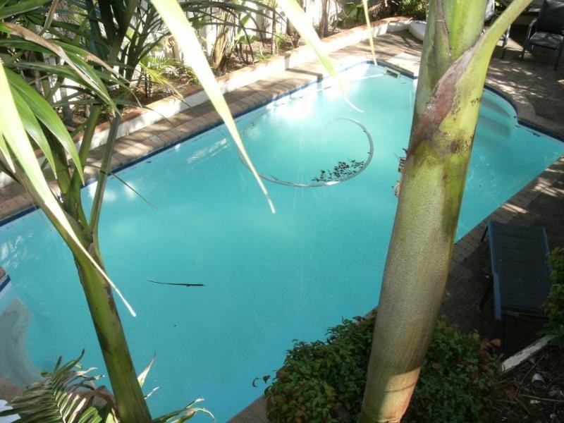 6 George Knox Drive, Rowville VIC 3178