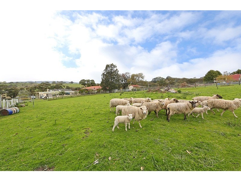 1540 Wellington Road, Lysterfield VIC 3156