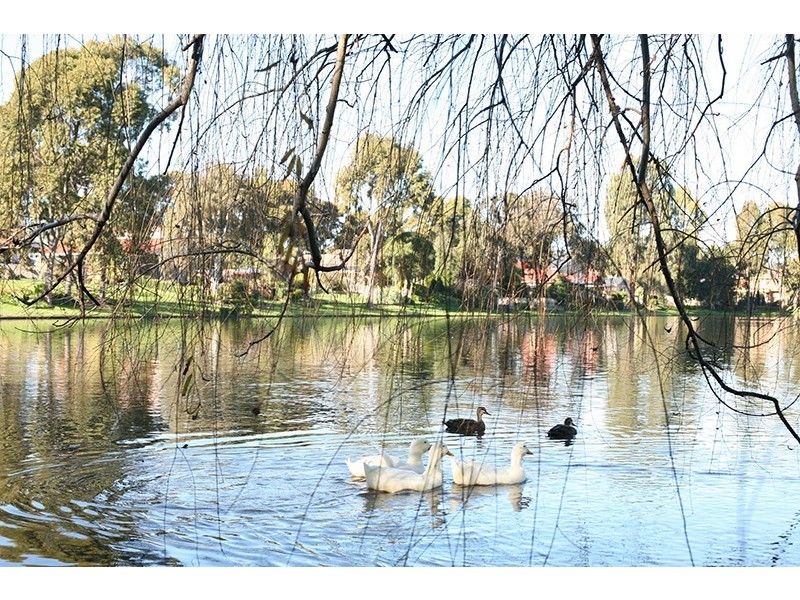 9 Lakeside Boulevard, Rowville VIC 3178