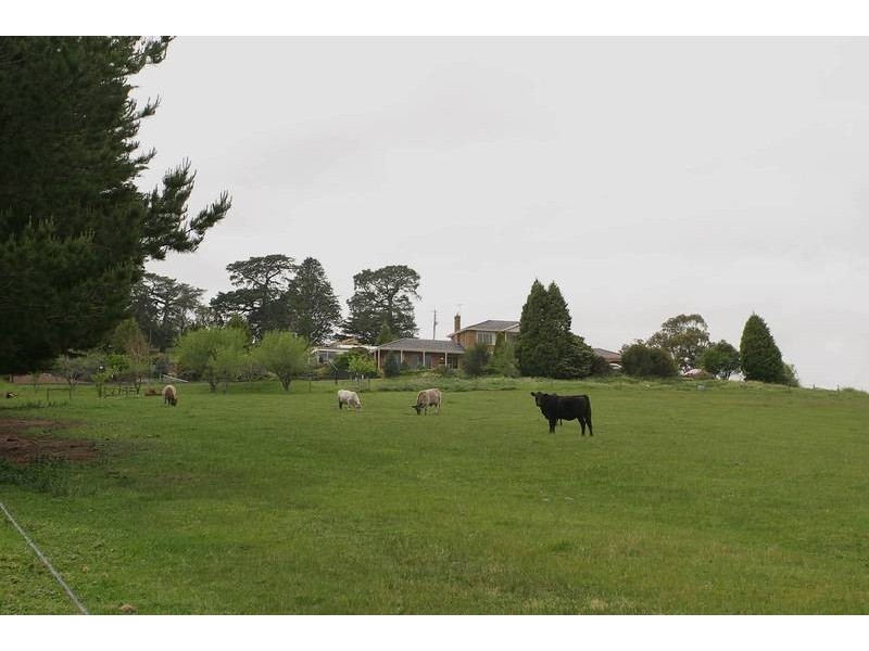 Narre Warren East VIC 3804