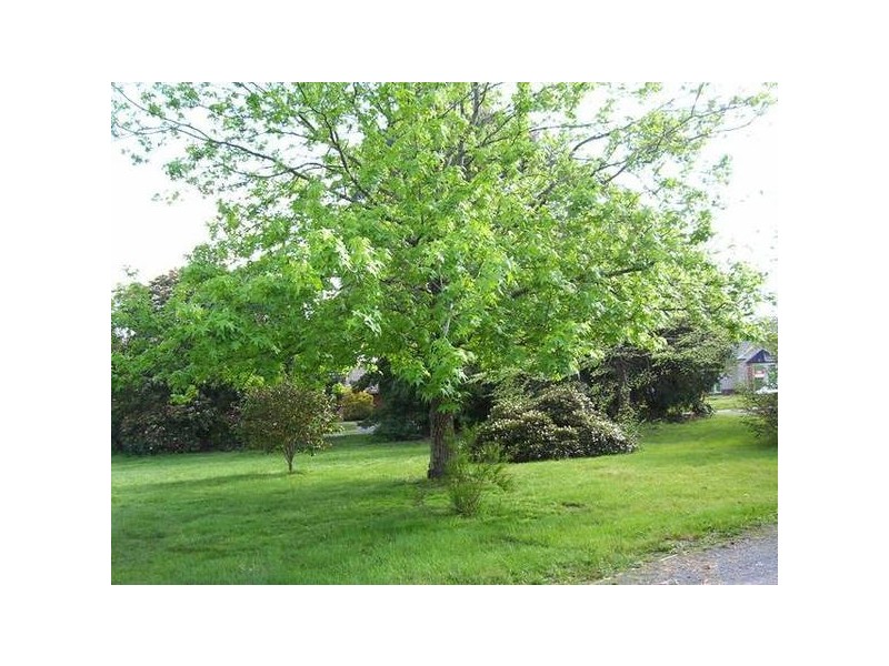 10 Norris Road, Rowville VIC 3178