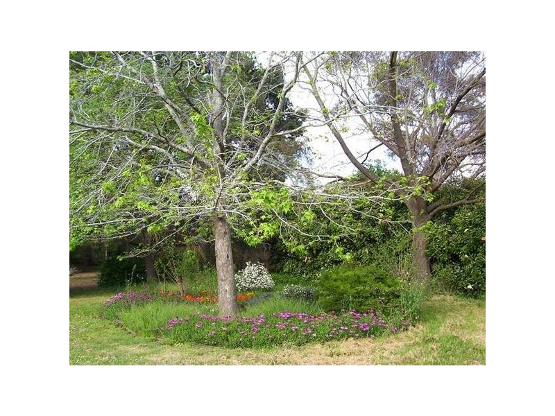 10 Norris Road, Rowville VIC 3178