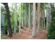 20 Yates Road, Howard Springs NT 0835