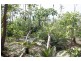 85 Goodenia Drive, Virginia NT 0835
