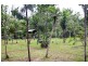 85 Goodenia Drive, Virginia NT 0835