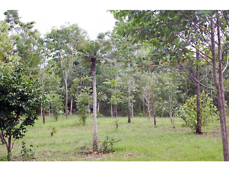 85 Goodenia Drive, Virginia NT 0835