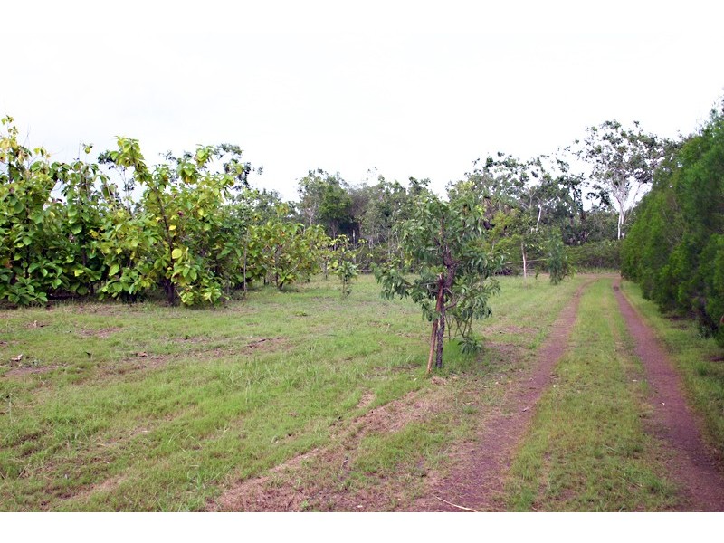 85 Goodenia Drive, Virginia NT 0835