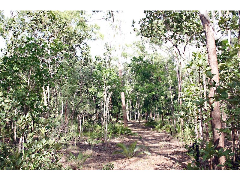 85 Goodenia Drive, Virginia NT 0835