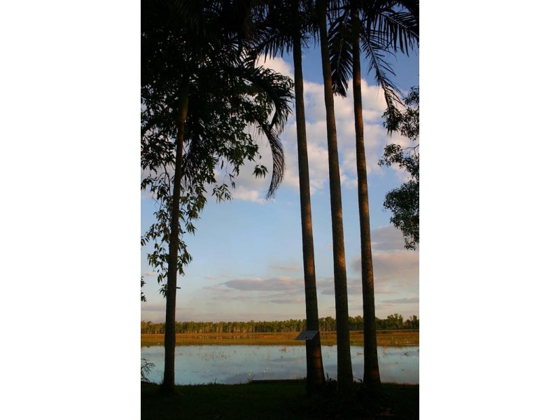 47 Power Road, Mcminns Lagoon NT 0822