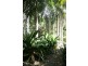 35 Ridgehaven Circuit, Leanyer NT 0812