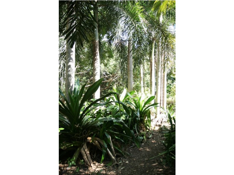 35 Ridgehaven Circuit, Leanyer NT 0812