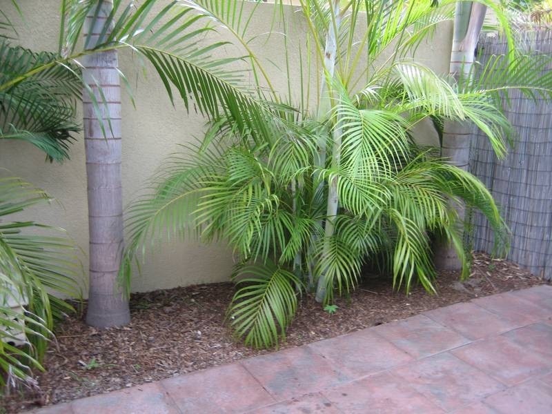 2/1 Tsolos Place, The Narrows NT 0820