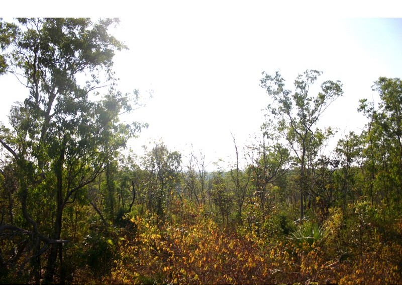 Lot 13, 565 Litchfield Park Road, Batchelor NT 0845