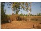 Lot 13, 565 Litchfield Park Road, Batchelor NT 0845