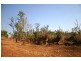 Lot 13, 565 Litchfield Park Road, Batchelor NT 0845