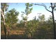Lot 13, 565 Litchfield Park Road, Batchelor NT 0845