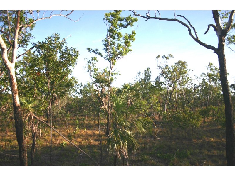 Lot 13, 565 Litchfield Park Road, Batchelor NT 0845