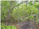 Lot 13, 565 Litchfield Park Road, Batchelor NT 0845