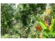 98 Baluria Road, Wagait Beach NT 0822