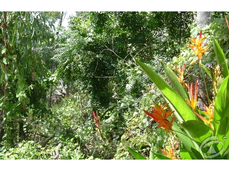 98 Baluria Road, Wagait Beach NT 0822