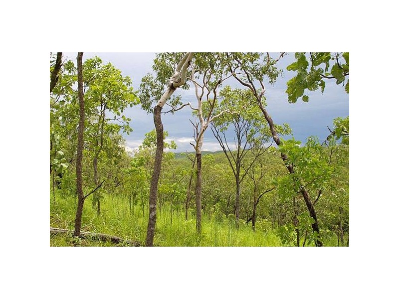 555 Chinner Road, Lake Bennett NT 0822