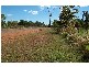 51 De Lissa Drive, Wagait Beach NT 0822