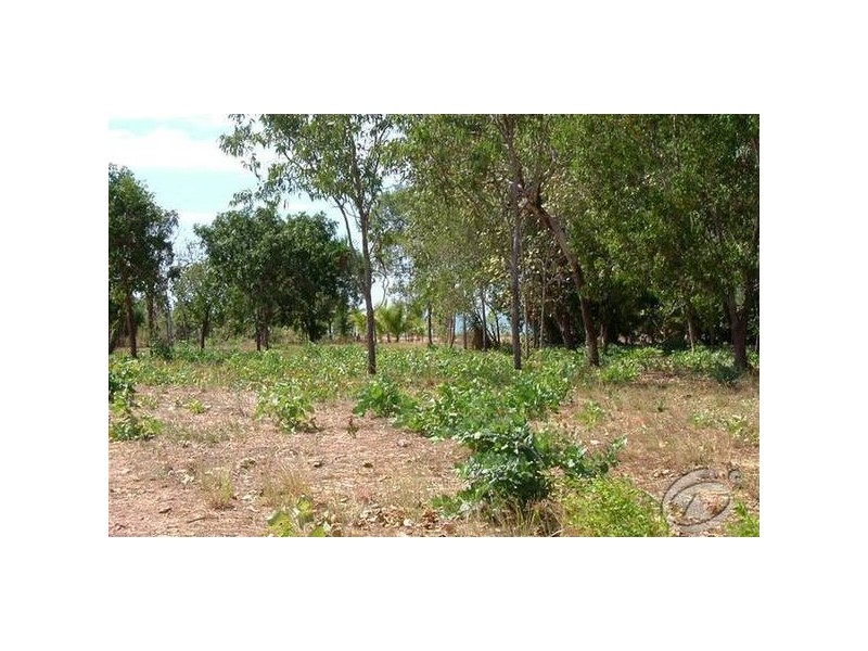 51 De Lissa Drive, Wagait Beach NT 0822