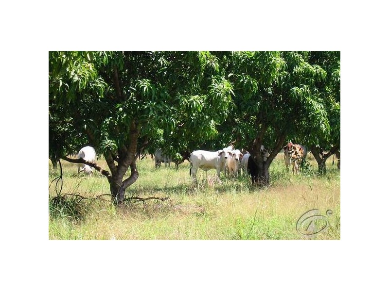 3073 Namarada Drive, Dundee Beach NT 0840