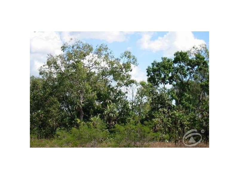 3541 Moollock Road, Dundee Forest NT 0840