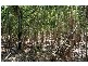 3304 Myrmidon Circuit, Dundee Beach NT 0840