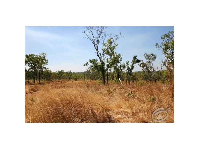 99 Northstar Road, Acacia Hills NT 0822