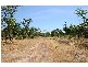 99 Northstar Road, Acacia Hills NT 0822