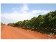 136 Redgum Drive, Humpty Doo NT 0836