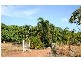 136 Redgum Drive, Humpty Doo NT 0836