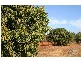 136 Redgum Drive, Humpty Doo NT 0836
