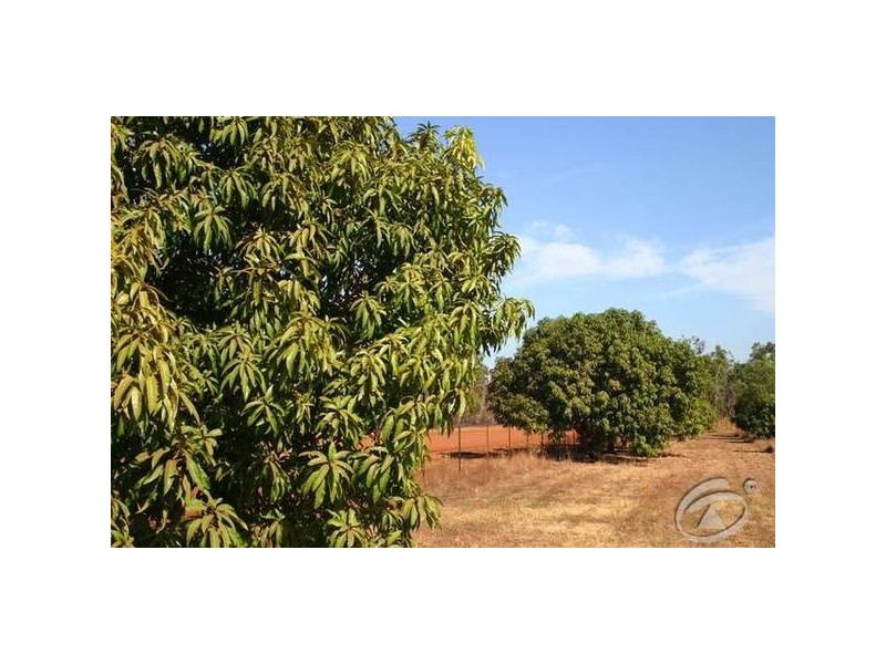 136 Redgum Drive, Humpty Doo NT 0836