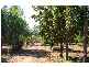 136 Redgum Drive, Humpty Doo NT 0836