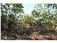 3052 Dundee Road, Dundee Downs NT 0840