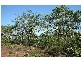 3052 Dundee Road, Dundee Downs NT 0840
