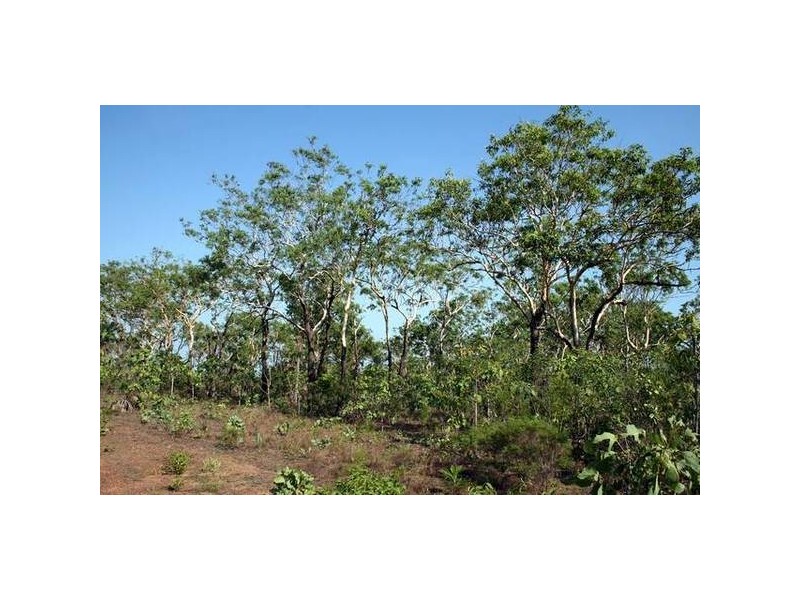 3052 Dundee Road, Dundee Downs NT 0840