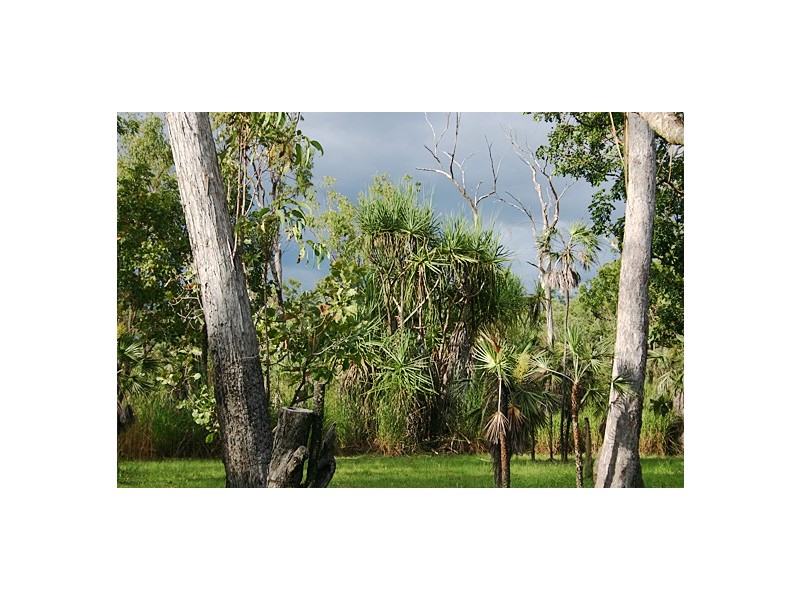 85 Scrutton Road, Livingstone NT 0822